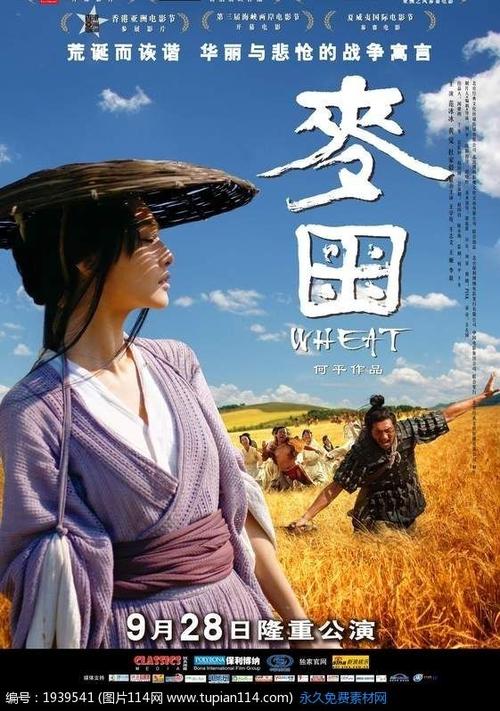 假护照事件